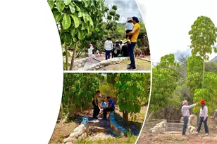 194242 Predio Rustico Denominado Chilcayoc, , CO - Photo 10