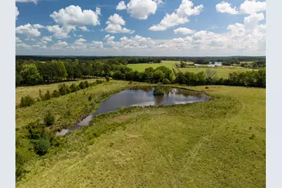 8553 Fm 227, Grapeland, TX 75844 - Photo 24