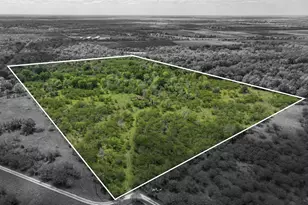 Tbd Roadrunner Ln, Sealy, TX 77474 - Photo 1