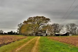 2223 Co Rd 107, Wharton, TX 77488 - Photo 2