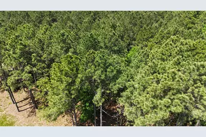 Tbd Lampasas Lane, Lovelady, TX 75851 - Photo 8