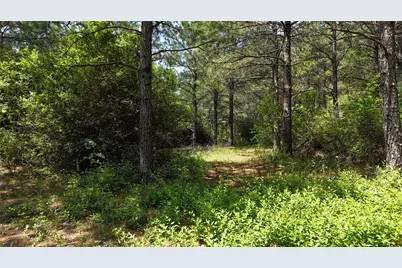 Tbd Lampasas Lane, Lovelady, TX 75851 - Photo 4