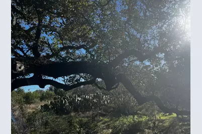 101 Twin Creek Road, Dripping Springs, TX 78620 - Photo 14