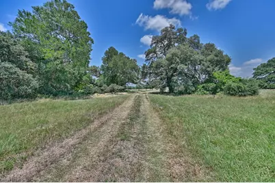 6238 Kovar Road, Fayetteville, TX 78940 - Photo 22