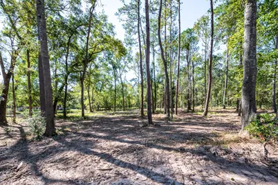 00 Dulaney Street, Splendora, TX 77372 - Photo 6