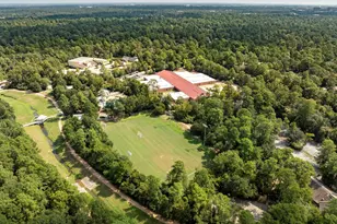 38 Cricket Hollow Pl, The Woodlands, TX 77381 - Photo 34