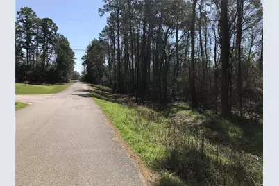 580 Parkview Drive, Onalaska, TX 77360 - Photo 4