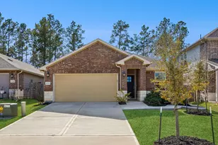 17793 Hanson Ridge Dr, Montgomery, TX 77316 - Photo 2