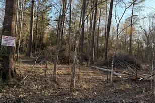 0 Cr 308, Cleveland, TX 77327 - Photo 1