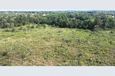7749 Cr 4200, Pennington, TX 75856 - Photo 14