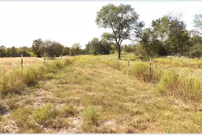 7749 Cr 4200, Pennington, TX 75856 - Photo 4