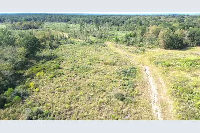 7749 Cr 4200, Pennington, TX 75856 - Photo 10