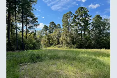 7749 Cr 4200, Pennington, TX 75856 - Photo 26