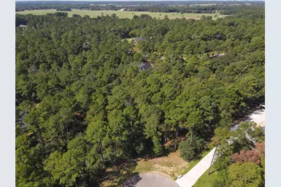 9400 Old Cedars Drive, Plantersville, TX 77363 - Photo 6