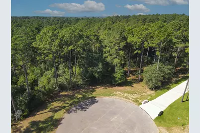 9400 Old Cedars Drive, Plantersville, TX 77363 - Photo 8