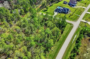 27560 S Lazy Meadow Way, Spring, TX 77386 - Photo 8