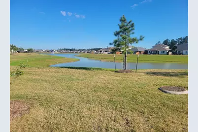 16843 Bristle Cone Way, Conroe, TX 77302 - Photo 36