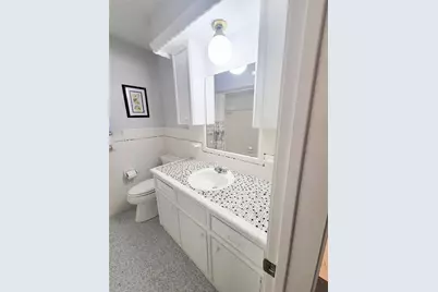 1118 Del Norte Street, Houston, TX 77018 - Photo 20