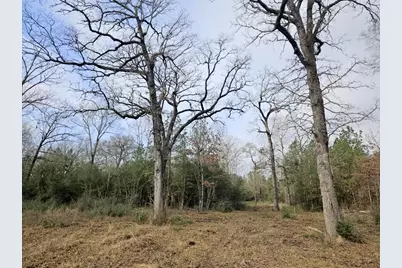 550 Robert Jones Road, Huntington, TX 75949 - Photo 10