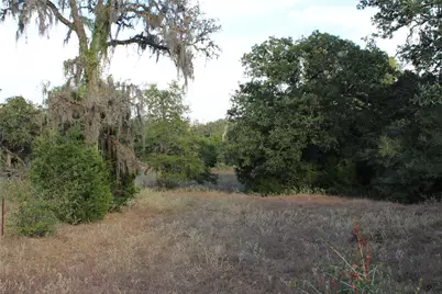 Parcel 4 Lobo Lane, Columbus, TX 78934 - Photo 6