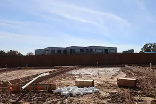 16033 Hayes Pk Dr, Houston, TX 77079 - Photo 6