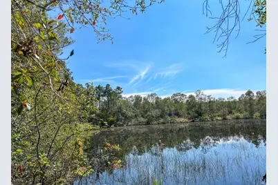 1 Fm 1003, Kountze, TX 77625 - Photo 2