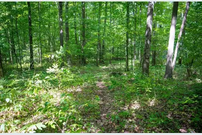 1 Fm 1003, Kountze, TX 77625 - Photo 4