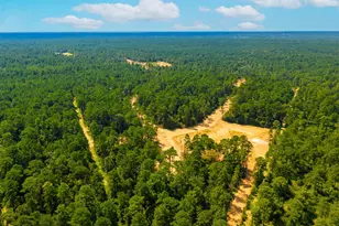 4111 Augusta Dr, Montgomery, TX 77316 - Photo 2