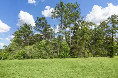 8608 Trinity Pines Court, Montgomery, TX 77316 - Photo 4