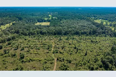 2210 County Road 3011, Dayton, TX 77535 - Photo 6