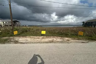 4418 Swan St, Hitchcock, TX 77563 - Photo 1