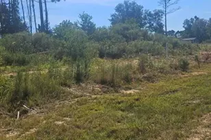 2055 Road 5913, Cleveland, TX 77327 - Photo 6