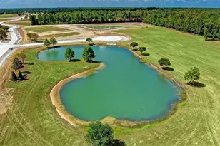 2418 Emerie Arbor Ln, Hockley, TX 77447 - Photo 48