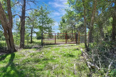 7629 Oxford Cemetery Road, Madisonville, TX 77864 - Photo 8