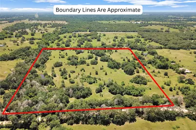 7629 Oxford Cemetery Road, Madisonville, TX 77864 - Photo 2