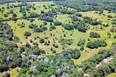 7629 Oxford Cemetery Road, Madisonville, TX 77864 - Photo 6