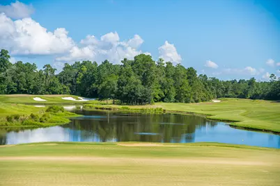 123 Mediterra Way, Spring, TX 77389 - Photo 30