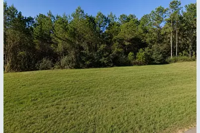 11700 Grand North Road, Willis, TX 77378 - Photo 4