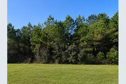 11700 Grand North Road, Willis, TX 77378 - Photo 2