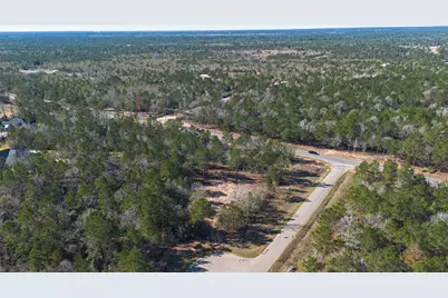 7629 Trinity Pines Drive, Montgomery, TX 77316 - Photo 18