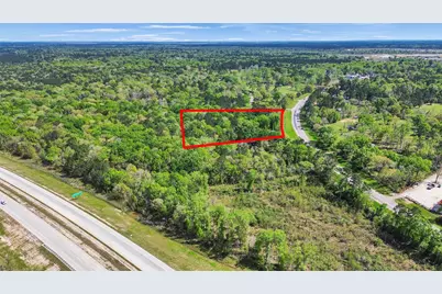 31910 Fm 1485 Road, New Caney, TX 77357 - Photo 2