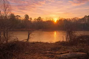 274 Co Rd 3945, Colmesneil, TX 75938 - Photo 1