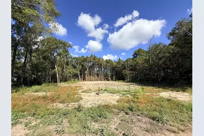 11249 Wildwood Lane, Plantersville, TX 77363 - Photo 10