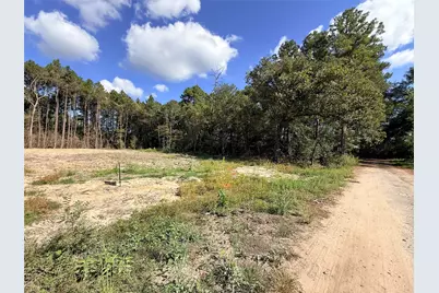 11249 Wildwood Lane, Plantersville, TX 77363 - Photo 6