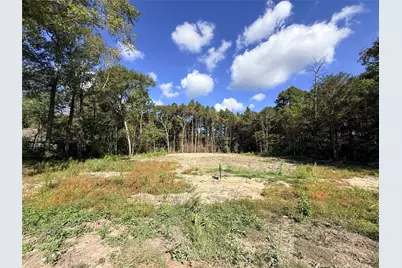 11249 Wildwood Lane, Plantersville, TX 77363 - Photo 4