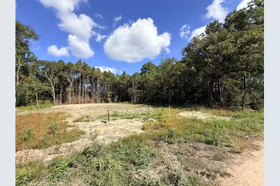 11249 Wildwood Lane, Plantersville, TX 77363 - Photo 12