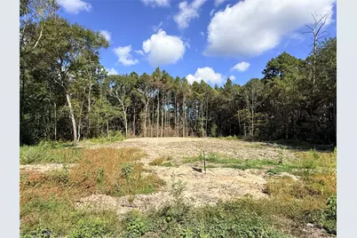 11249 Wildwood Lane, Plantersville, TX 77363 - Photo 1