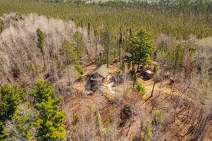 Xxxxx White Iron Lake, Ely, MN 55731 - Photo 12