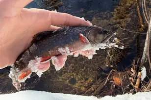 625X Iron Lake Rd, Iron River, WI 54847 - Photo 8