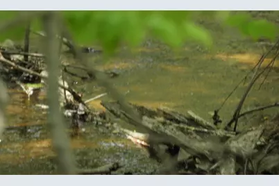 625X Iron Lake Rd, Iron River, WI 54847 - Photo 4